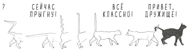 41 Муравьи умеют строить живые мосты Кочевые муравьииз Центральной и Южной - фото 47