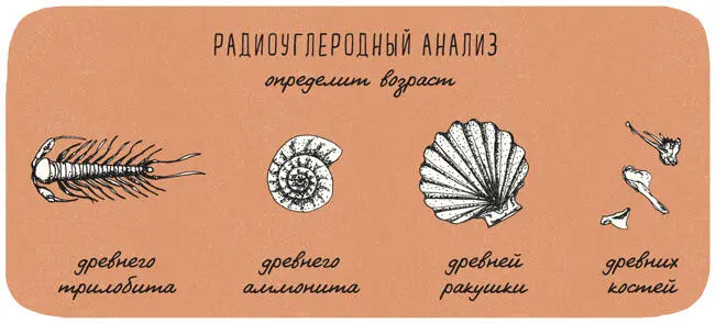 И ещё коечто о радиоуглеродном анализе Метод радиоуглеродного анализа - фото 239