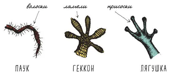 234 Только люди танцуют Неправда закричишь ты Я сам видел танцующих - фото 263