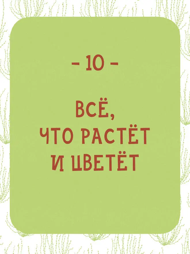 261 Сквозь мамонтовые деревья прокладывали тоннели Мамонтовые деревьярастут - фото 292