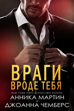 Анника Мартин Враги вроде тебя (ЛП) обложка книги