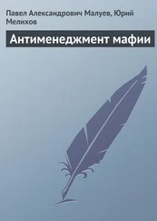 Юрий Мелихов - Антименеджмент мафии