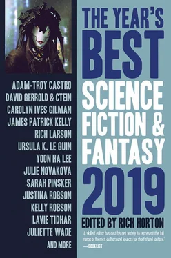 Rich Horton The Year's Best Science Fiction & Fantasy, 2019 Edition обложка книги