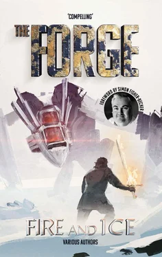 Danuta Reah The Forge: Fire and Ice обложка книги