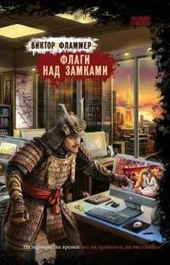 Виктор Фламмер Флаги над замками [litres] обложка книги