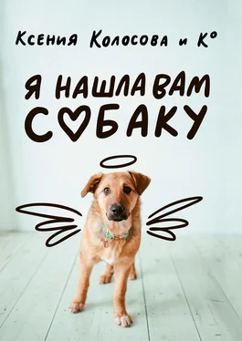 Ксения Колосова Я нашла вам собаку обложка книги