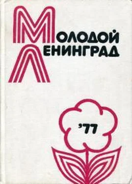 Виктор Андреев Молодой Ленинград ’77 обложка книги