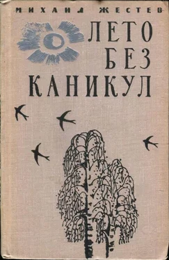 Михаил Жестев Лето без каникул обложка книги