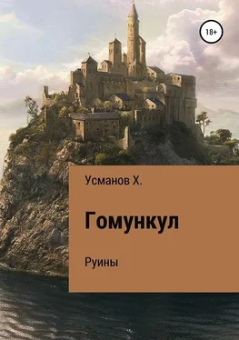 Хайдарали Усманов Руины обложка книги