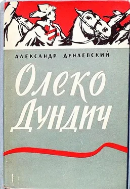 Александр Дунаевский Олеко Дундич обложка книги