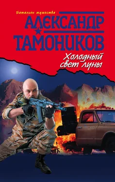 Александр Тамоников Холодный свет луны обложка книги