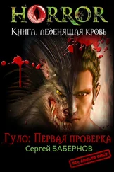 Сергей Бабернов - Гуло - Первая проверка