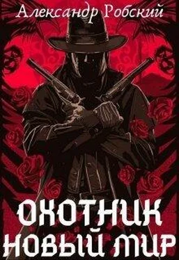 Александр Робский Охотник: Новый мир обложка книги