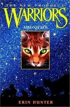 Erin Hunter Midnight обложка книги