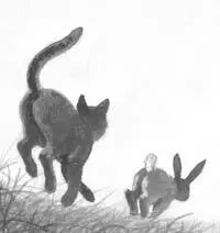 Leafpaw opened her eyes to see fronds of fern above her head outlined against - фото 20