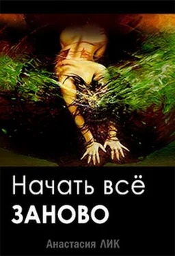 Анастасия Лик Начать всё заново обложка книги