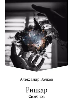 Александр Волков Ринкар. Симбиоз [СИ] обложка книги