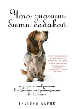 Грегори Бернс Что значит быть собакой. И другие открытия в области нейробиологии животных