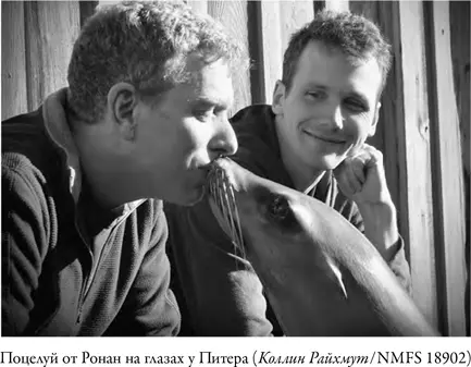 Наблюдая за Ронан кивающей в такт я поймал себя на том что киваю тоже - фото 7