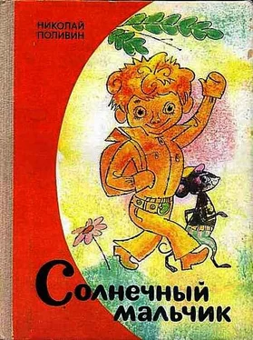 Николай Поливин Солнечный мальчик обложка книги