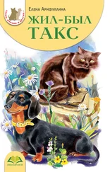 Елена Арифуллина - Жил-был такс