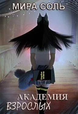 Мира Соль Академия взрослых обложка книги