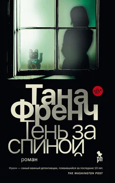 Тана Френч Тень за спиной обложка книги