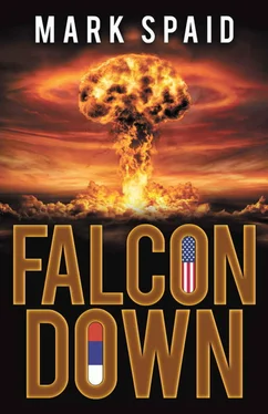 Mark Spaid Falcon Down обложка книги