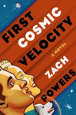 Zach Powers First Cosmic Velocity обложка книги