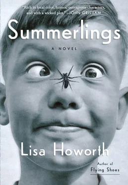 Lisa Howorth Summerlings обложка книги