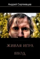 Андрей Сергеевцев - Живая игра - Вход
