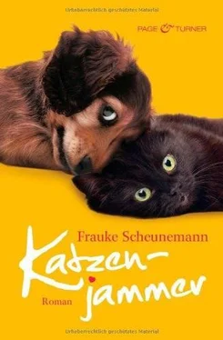 Frauke Scheunemann Katzenjammer обложка книги