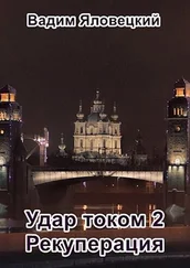 Вадим Яловецкий - Рекуперация