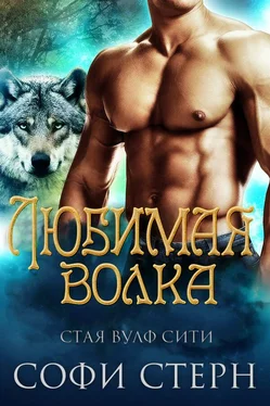 София Стерн Любимая волка обложка книги