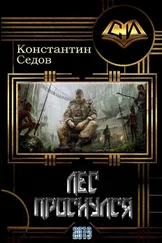 Константин Седов - Лес проснулся