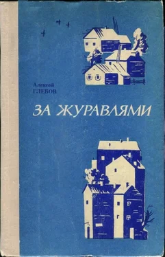 Алексей Глебов За журавлями обложка книги