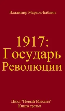 Владимир Бабкин Государь революции обложка книги