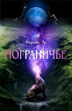 Марина Ли Пограничье обложка книги