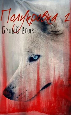 Мирра Секан Белый Волк обложка книги