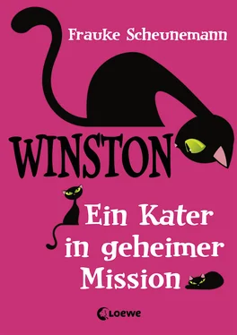 Scheunemann, Frauke Ein Kater in geheimer Mission - Winston обложка книги