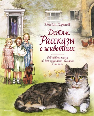 Джеймс Хэрриот Детям. Рассказы о животных обложка книги