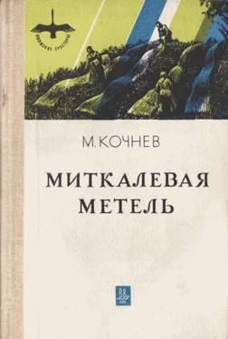 Михаил Кочнев Миткалевая метель обложка книги