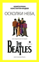 Юлий Буркин - Осколки неба, или Подлинная история The Beatles