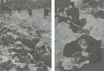 Партизаны в бою Мемориальный комплекс Дальва Тяжёлые для народных мстителей - фото 11