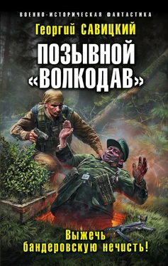 Георгий Савицкий Позывной «Волкодав». Выжечь бандеровскую нечисть обложка книги