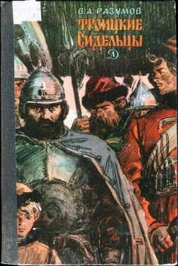 Владимир Разумов Троицкие сидельцы обложка книги