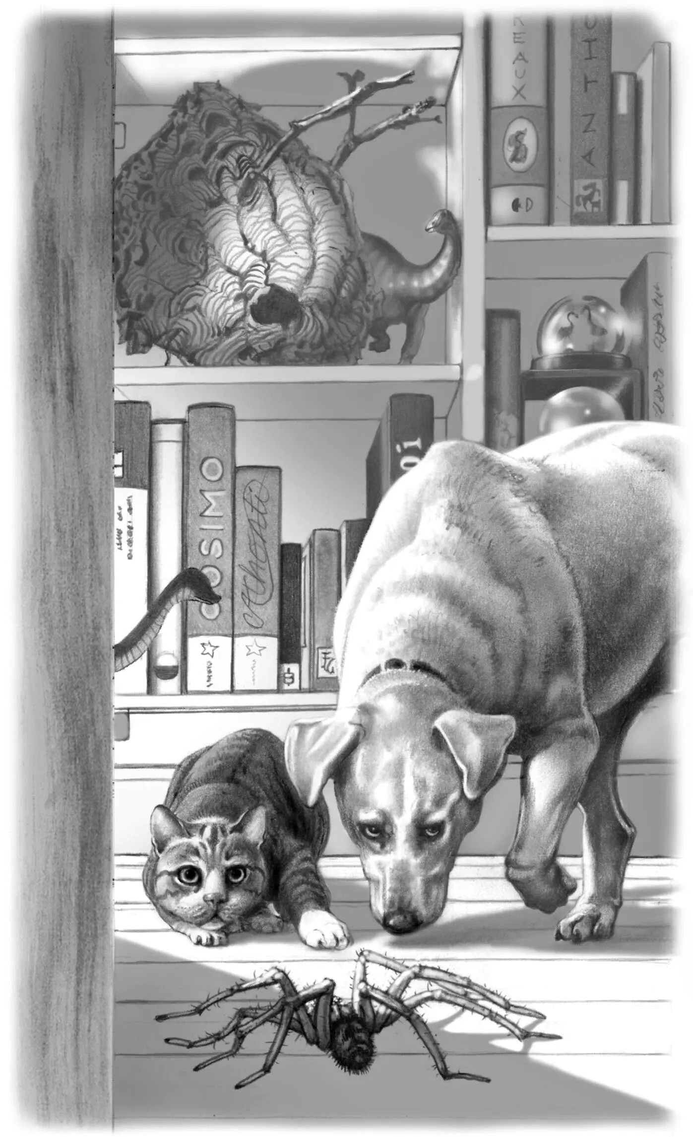 Shes dangerous Pewter warned Ive been keeping her at bay Mrs Murphy - фото 21