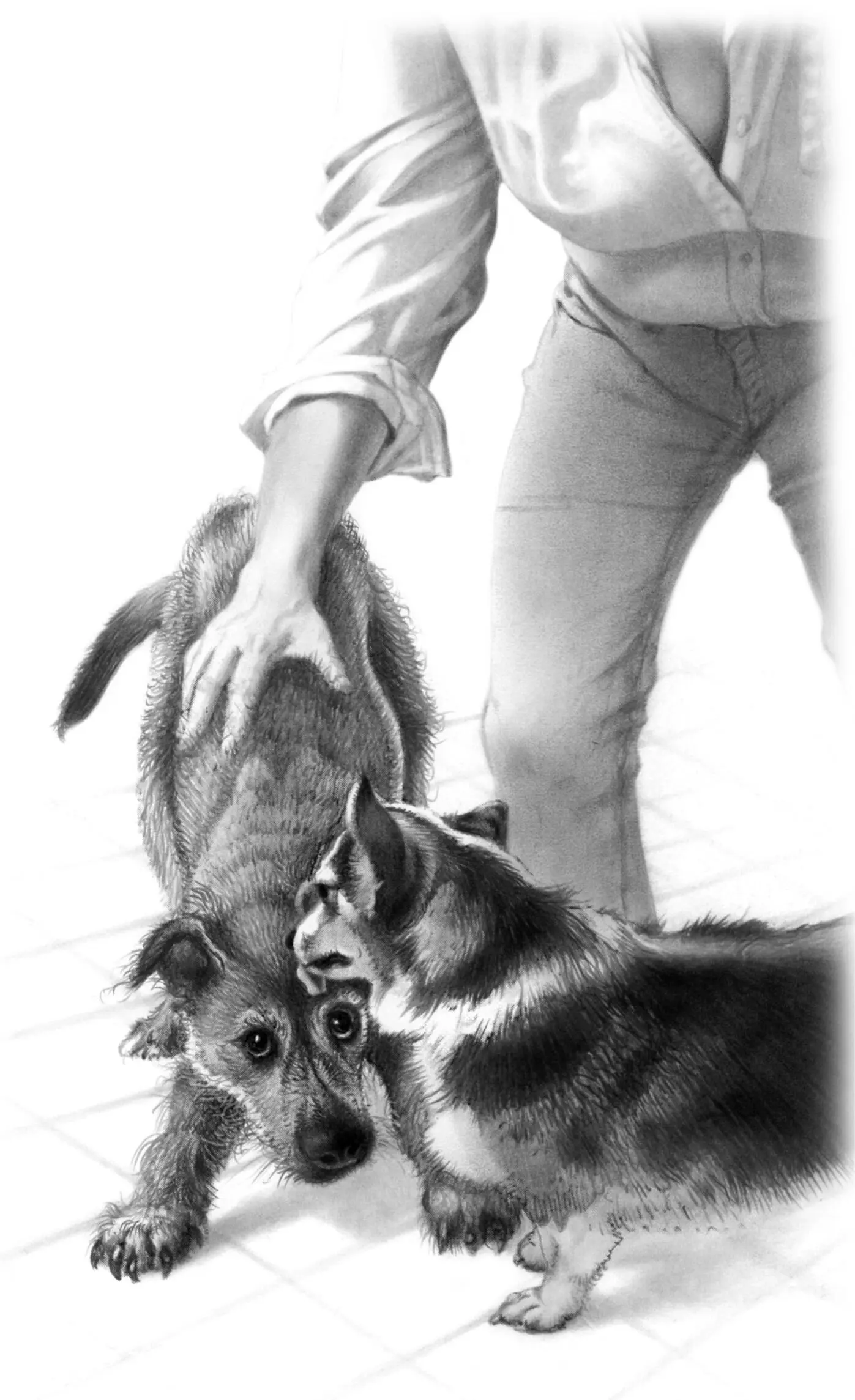 Tucker ran into the living room to tell the cats Well manage Mrs Murphy - фото 38