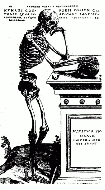 Andrea Vesalius De humani corporis fabrica libri septem 1542 Андреа Везалий - фото 15