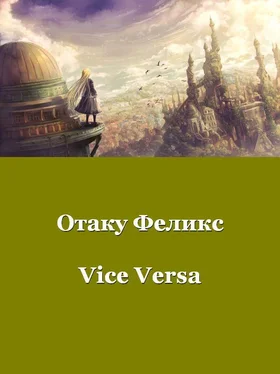 Феликс Отаку Vice Versa обложка книги